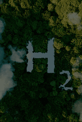 A view of the letter h in the middle of a forest.